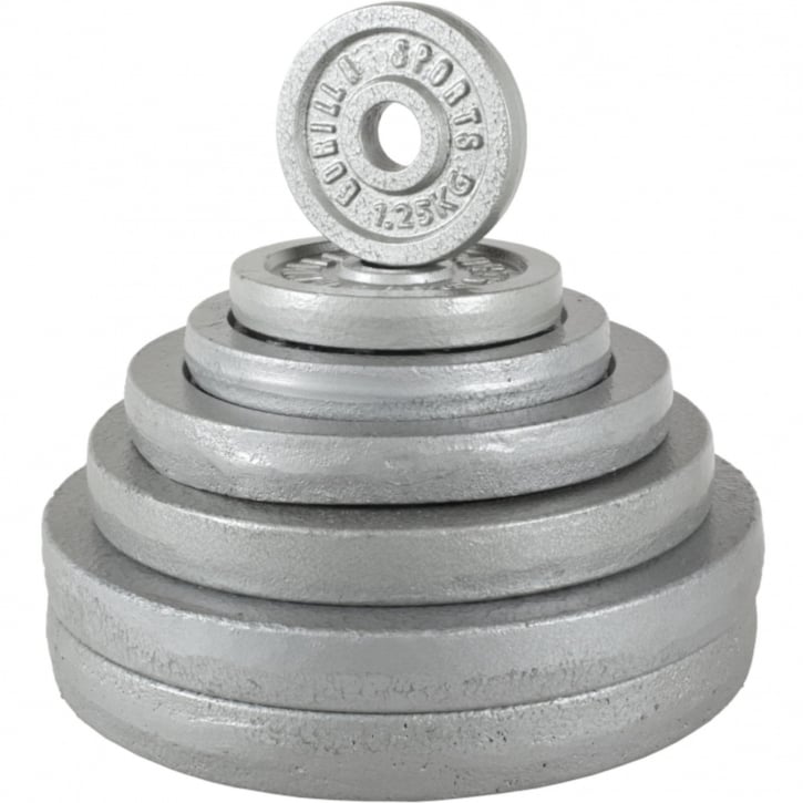 Curlstång Hantlar IRON 70kg