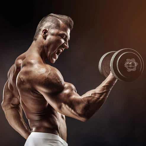 Hantlar Movit Gjutjärn 2x10kg