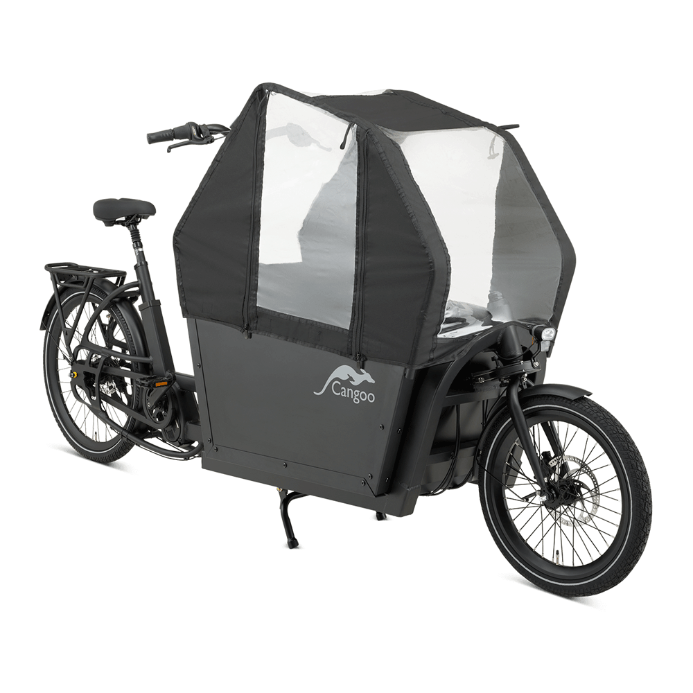 Electric bike CANGOO Buzz