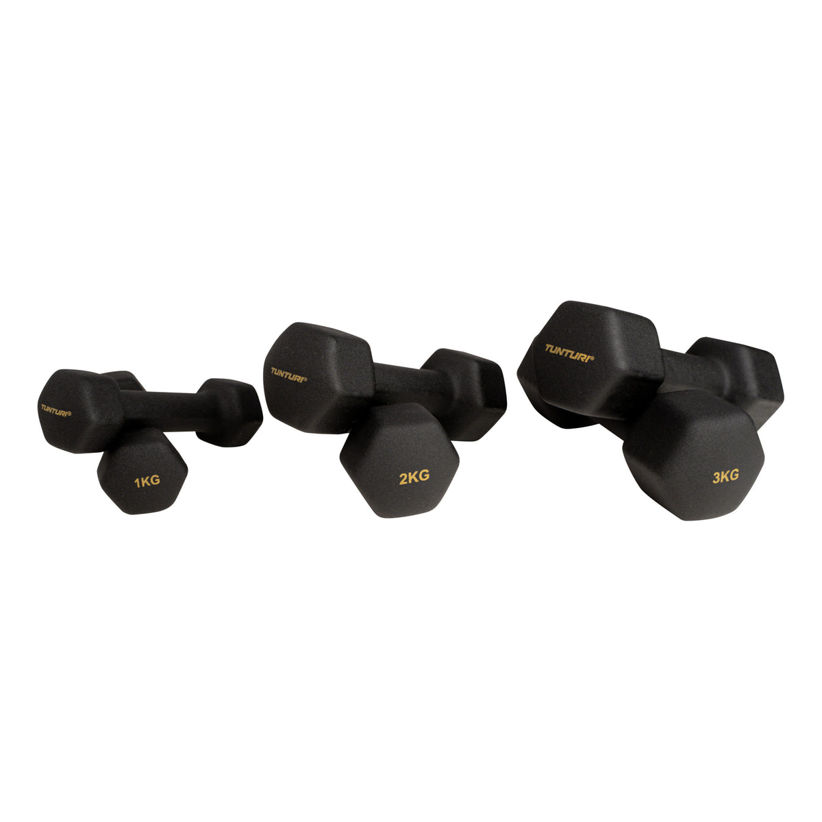 Hantelset med ställ Tunturi Centuri Neopren Hantelset 3 par + ställ