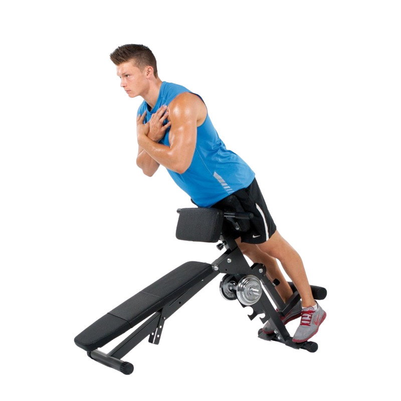 Träningsbänk FINNLO by Hammer Ab&Back Trainer