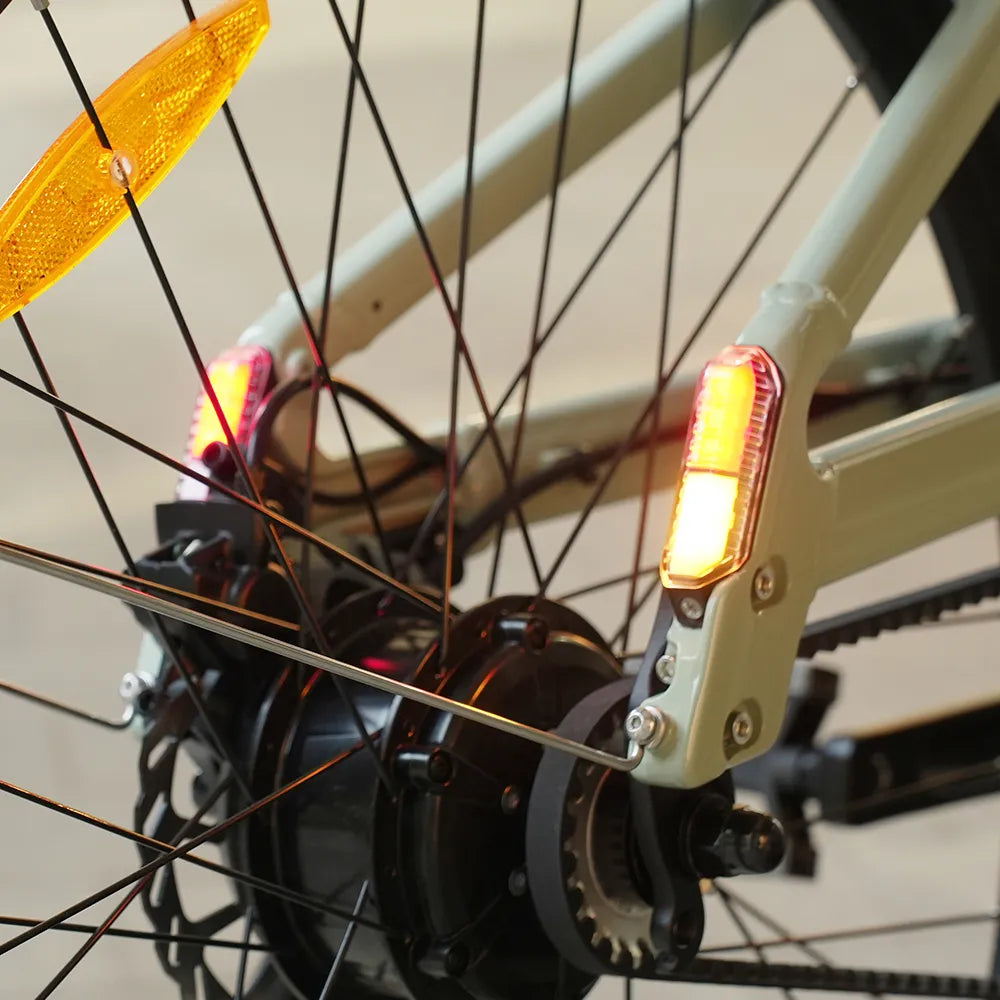 Electric bike FIIDO C700