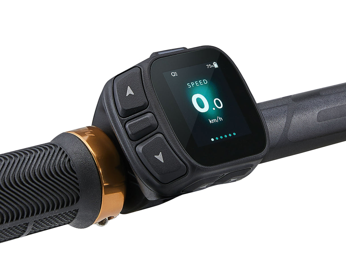 Elcykel LIV Embolden E+ 2 (2027) Slate Grey/Black