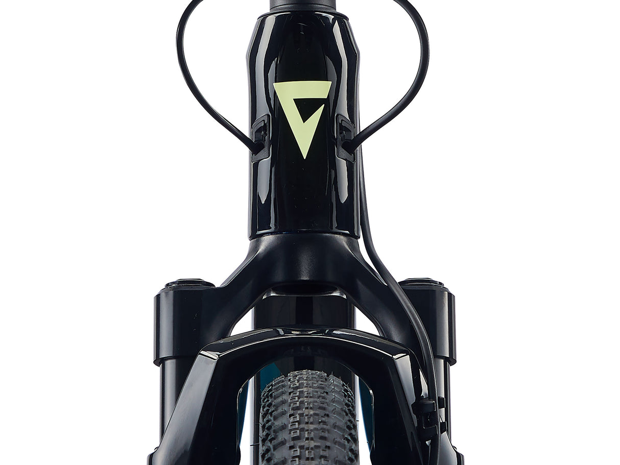 Gravel bike GIANT Revolt X Advanced Pro 2, Black/Sea Sparkle