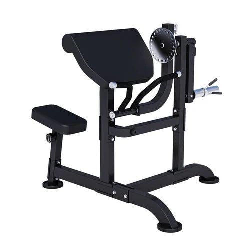 Curlbänk Preacher Curl MAXXUS