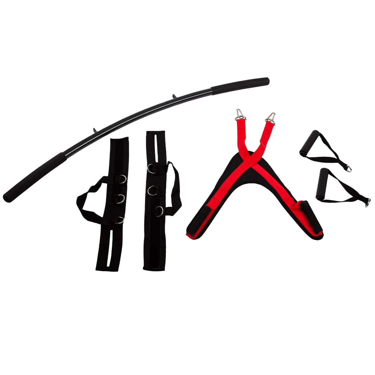 Power rack HAMMER Bio Force