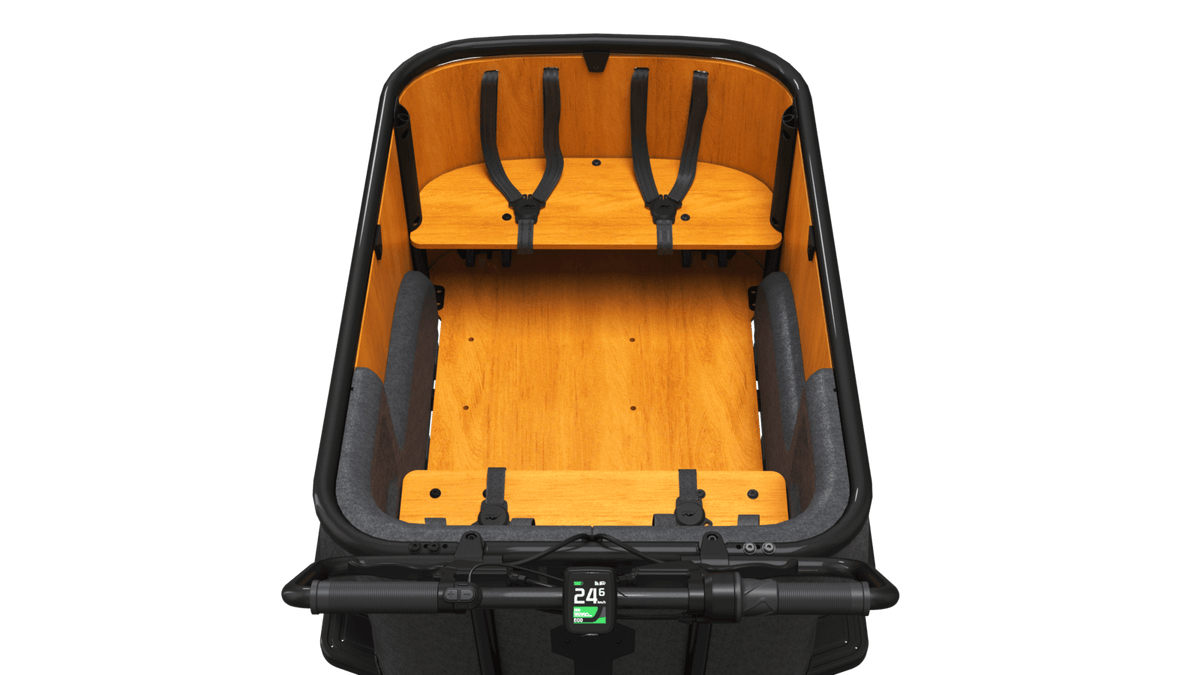 El-lastcykel CANGOO Buckle Up