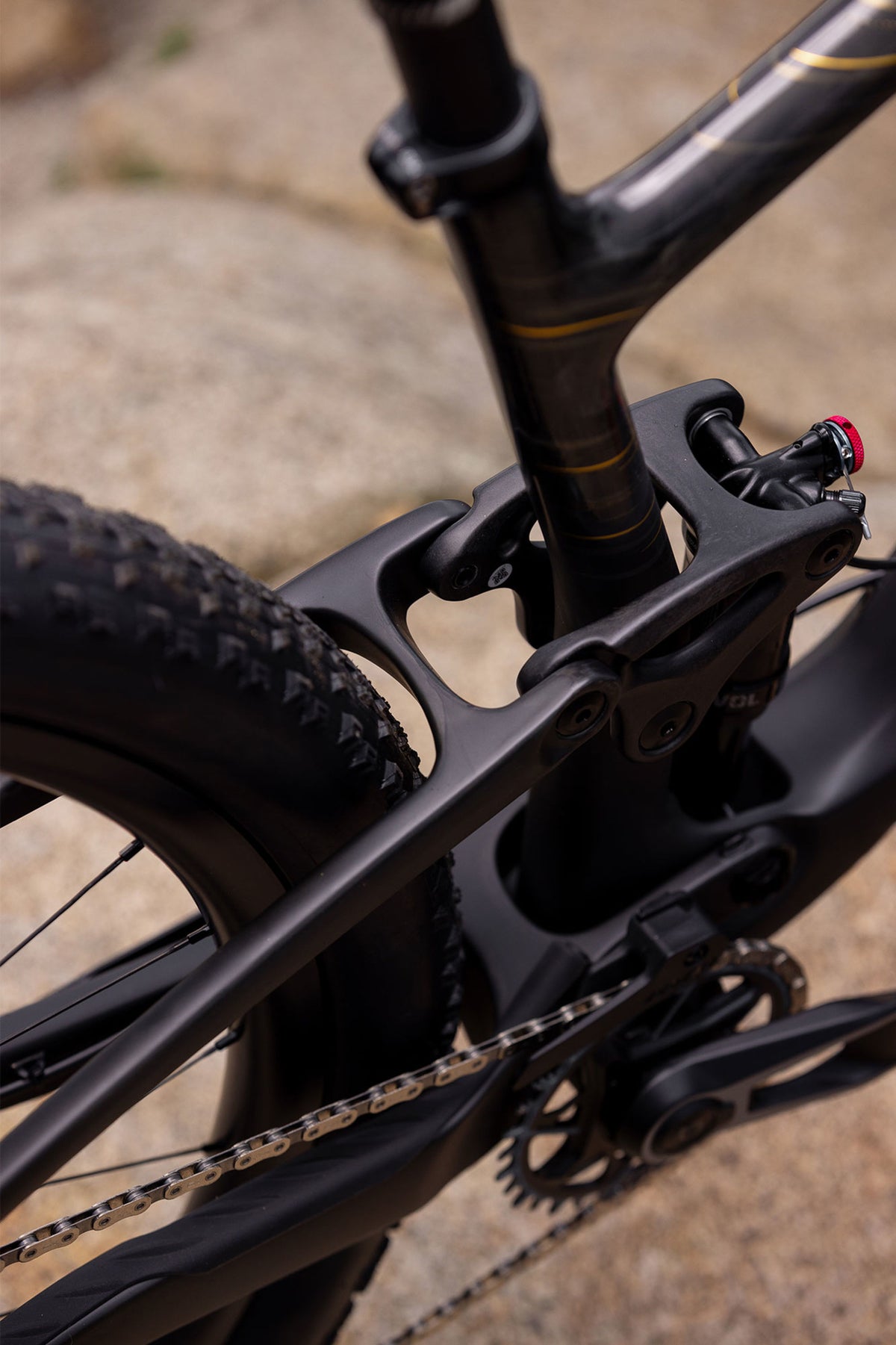 Mountainbike LIV Pique Advanced 29 1, Raw Carbon