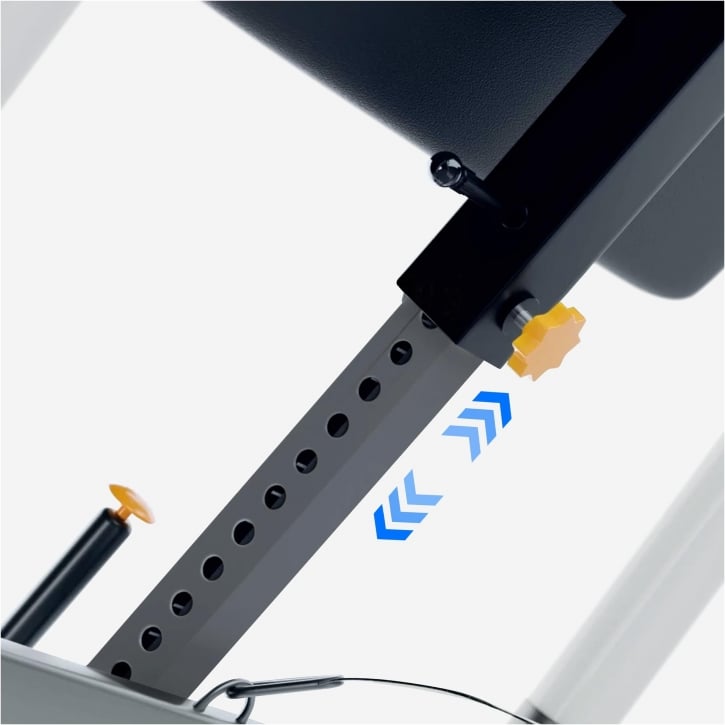 Ryggsträckare MAXXUS Gravity Pro 2