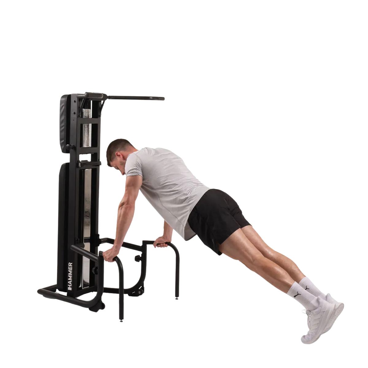 Chin-up/exercise bench HAMMER Bench Pullup & Dip