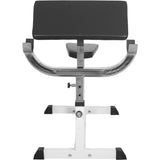 Sittande Curlbänk Preacher Curl
