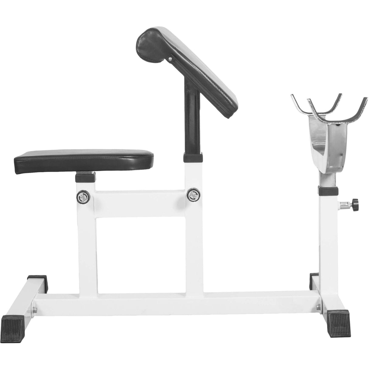 Sittande Curlbänk Preacher Curl