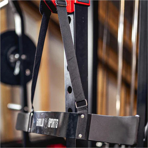 Biceps Blaster Isolator