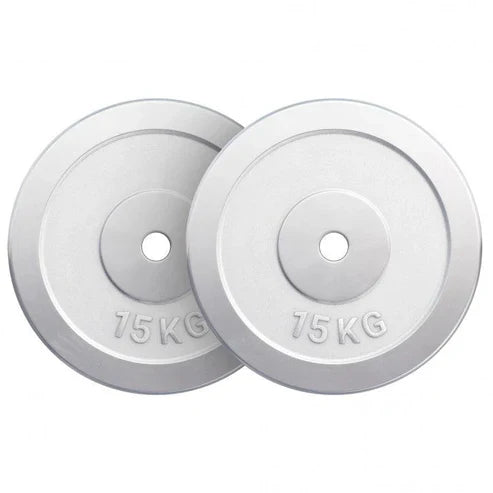 Viktskivor CHROME 2x15kg