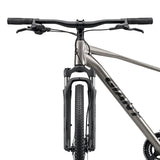 Bicycle GIANT Roam 3, Metal