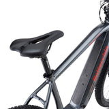 Elcykel BOTTECCHIA BE51 Hydron, C91 Antracit/Röd