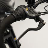 El-lastcykel CARGOBIKE of SWEDEN Flex