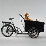El-lastcykel CARGOBIKE of SWEDEN Classic Dog