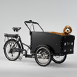 El-lastcykel CARGOBIKE of SWEDEN Classic Dog
