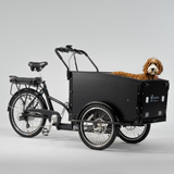 El-lastcykel CARGOBIKE of SWEDEN Classic Dog