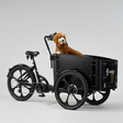 El-lastcykel CARGOBIKE of SWEDEN Delight Dog