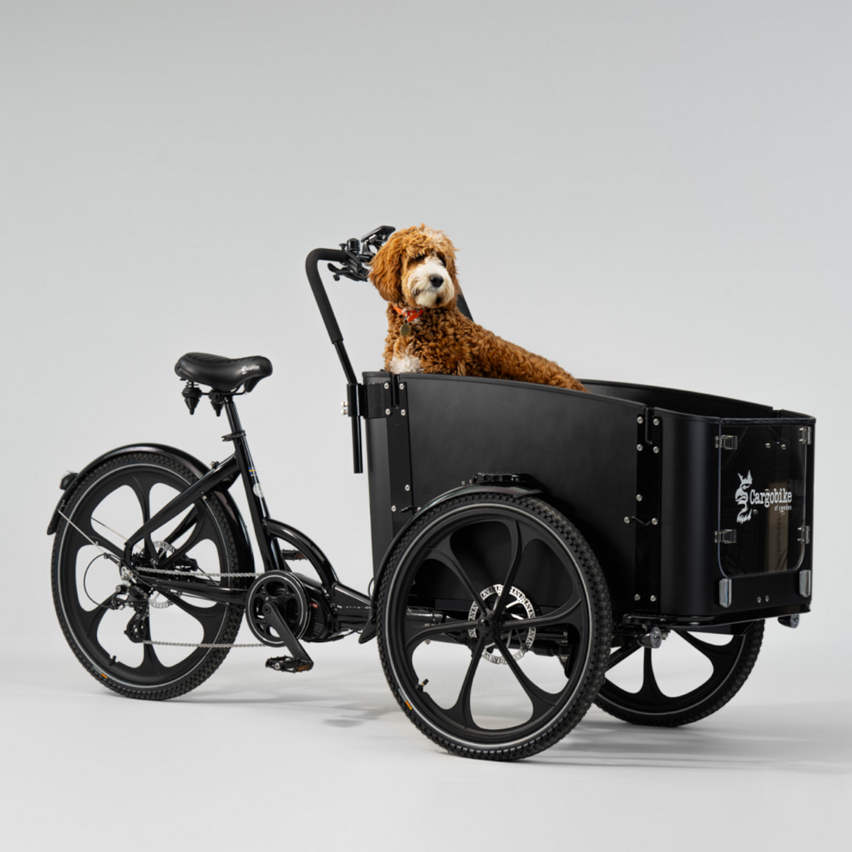 El-lastcykel CARGOBIKE of SWEDEN Delight Dog