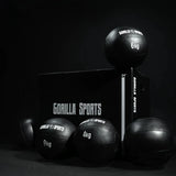 Wall Ball PRO 1-10kg