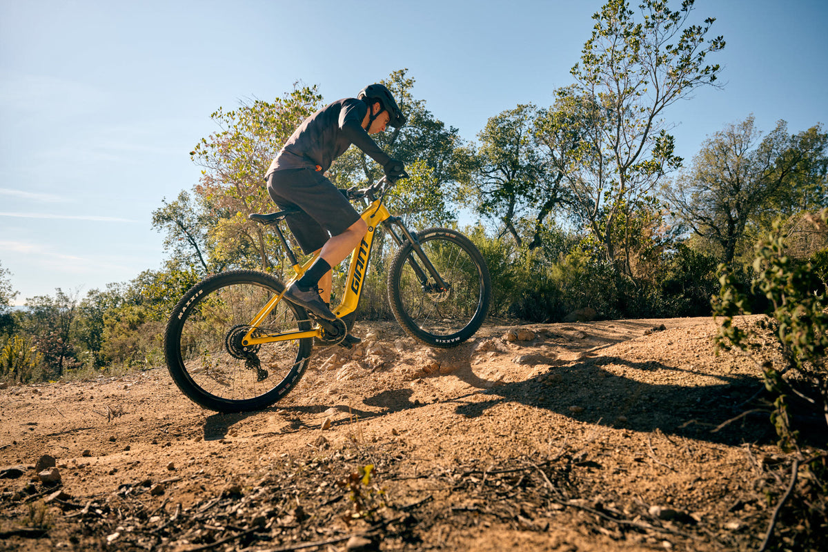 Elcykel GIANT Fathom E+ 2, 29" Sun Beam