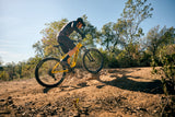 Elcykel GIANT Fathom E+ 2, 29" Sun Beam