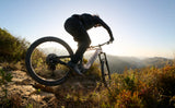 Elcykel GIANT Stance E+ 1 (2027) 29" Mandel/Svart
