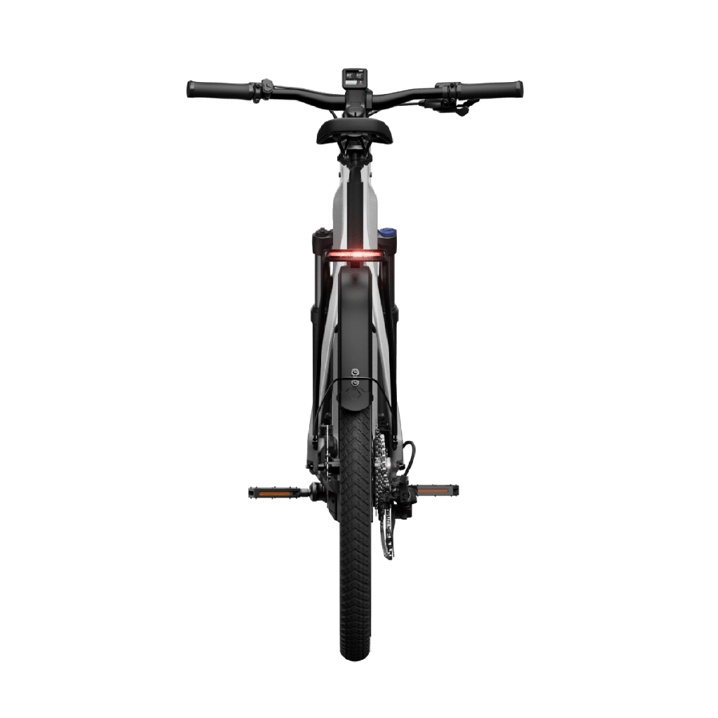 Elcykel TENWAYS AGO X Special Edition, 29" Silver