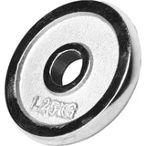 Viktskivor CHROME 0,5–30kg