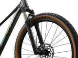 GIANT Talon 29 0 (2027) Stealth Chrome Cykel