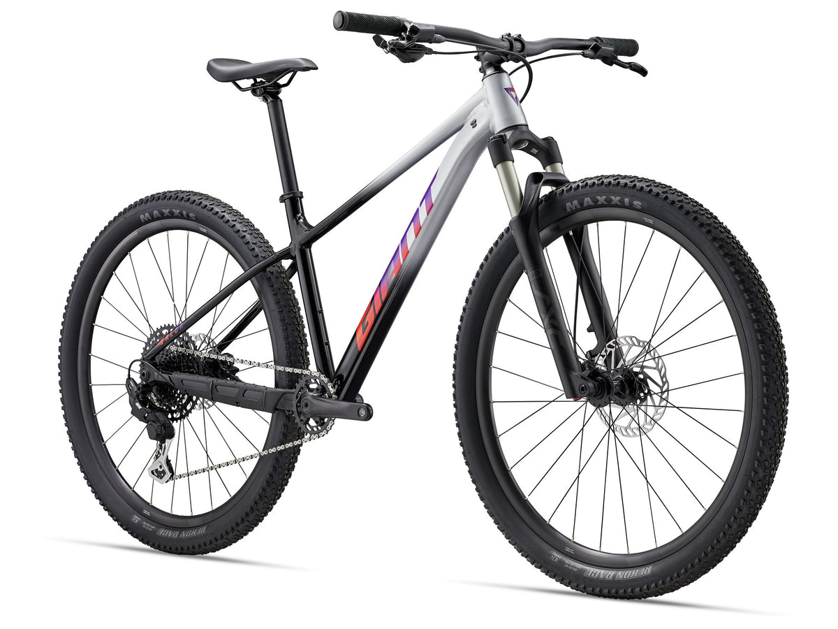 Cykel GIANT Talon 29 1 (2027) Grå/Svart