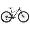 Damcykel LIV Tempt 3 (2027) 29" Airglow