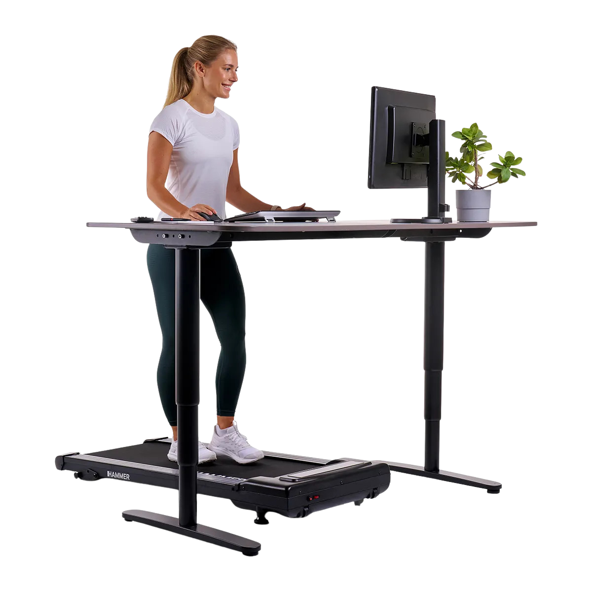 Treadmill/walking belt HAMMER Walk 2.0