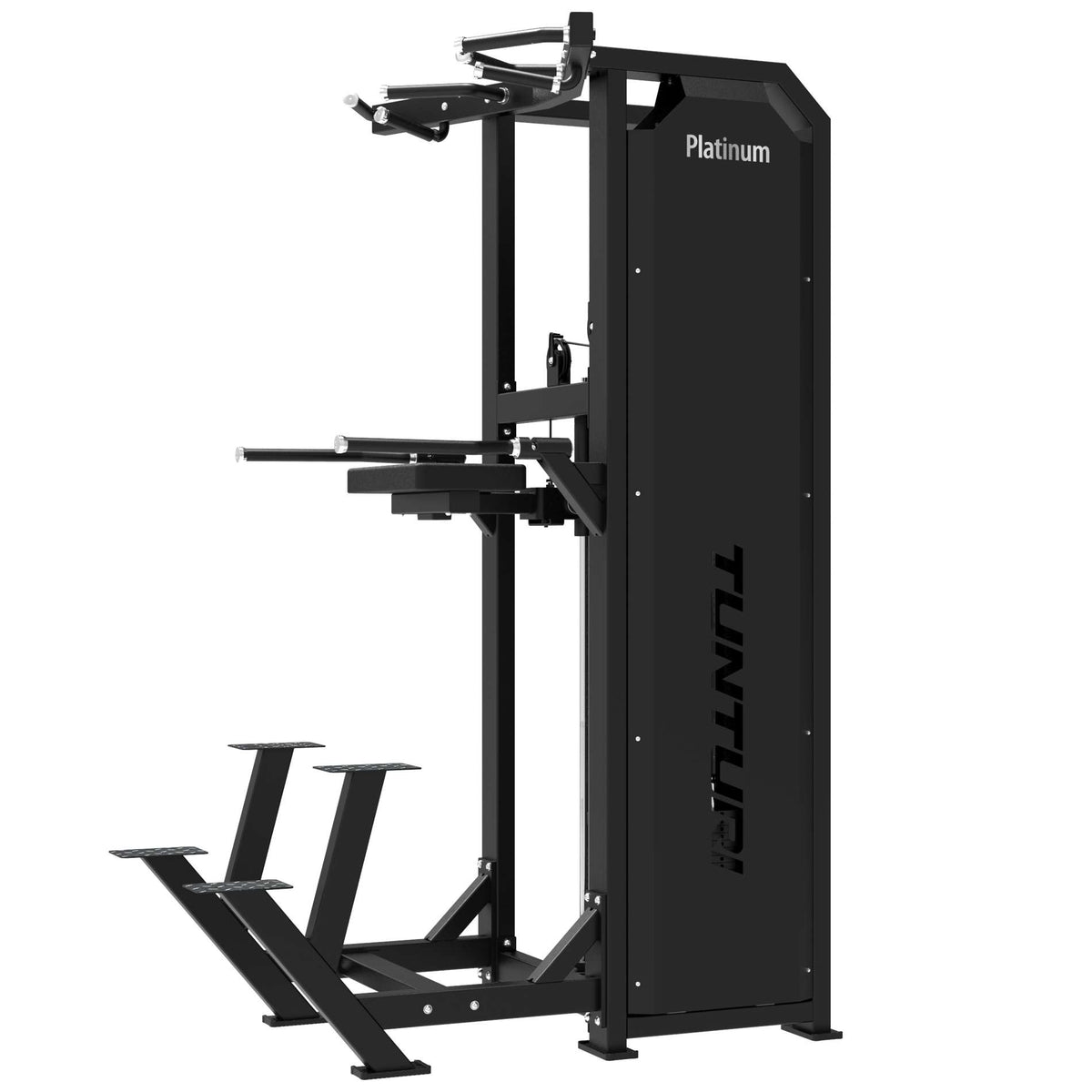 TUNTURI Platinum - Dual Assisted Chin Up/Dip - Selectorized V-Series