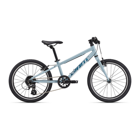 Ultralight children's bike GIANT ARX 20, Soap Suds