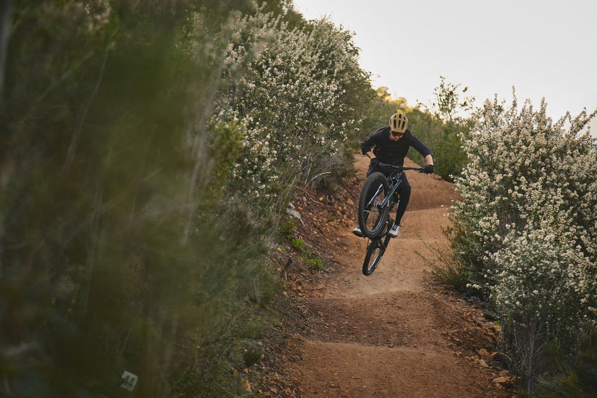 Mountain bike GIANT Reign 2 29" Black/Pyrite Brown