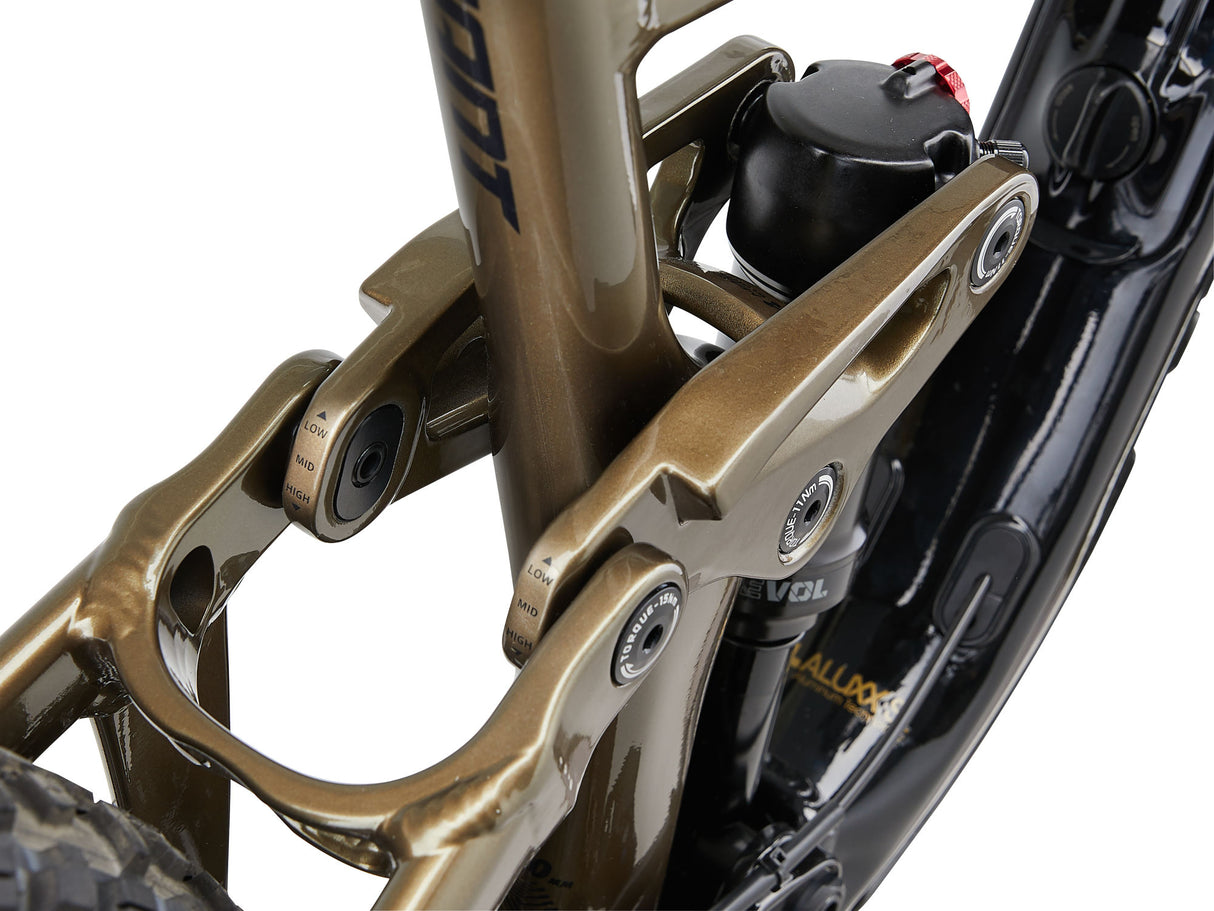 Mountain bike GIANT Reign 2 29" Black/Pyrite Brown