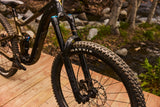 Mountain bike GIANT Reign 2 29" Black/Pyrite Brown