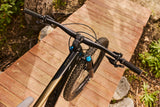 Mountain bike GIANT Reign 2 29" Black/Pyrite Brown