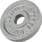 Hantlar IRON Gjutjärn 2x15kg