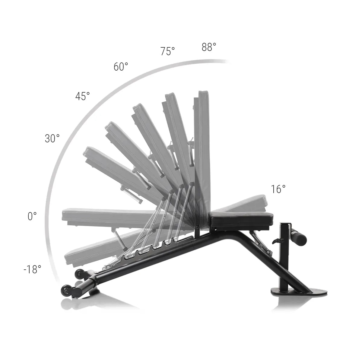 HAMMER Autark exercise bench