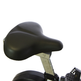 Motionscykel BH FITNESS Ergo EMS