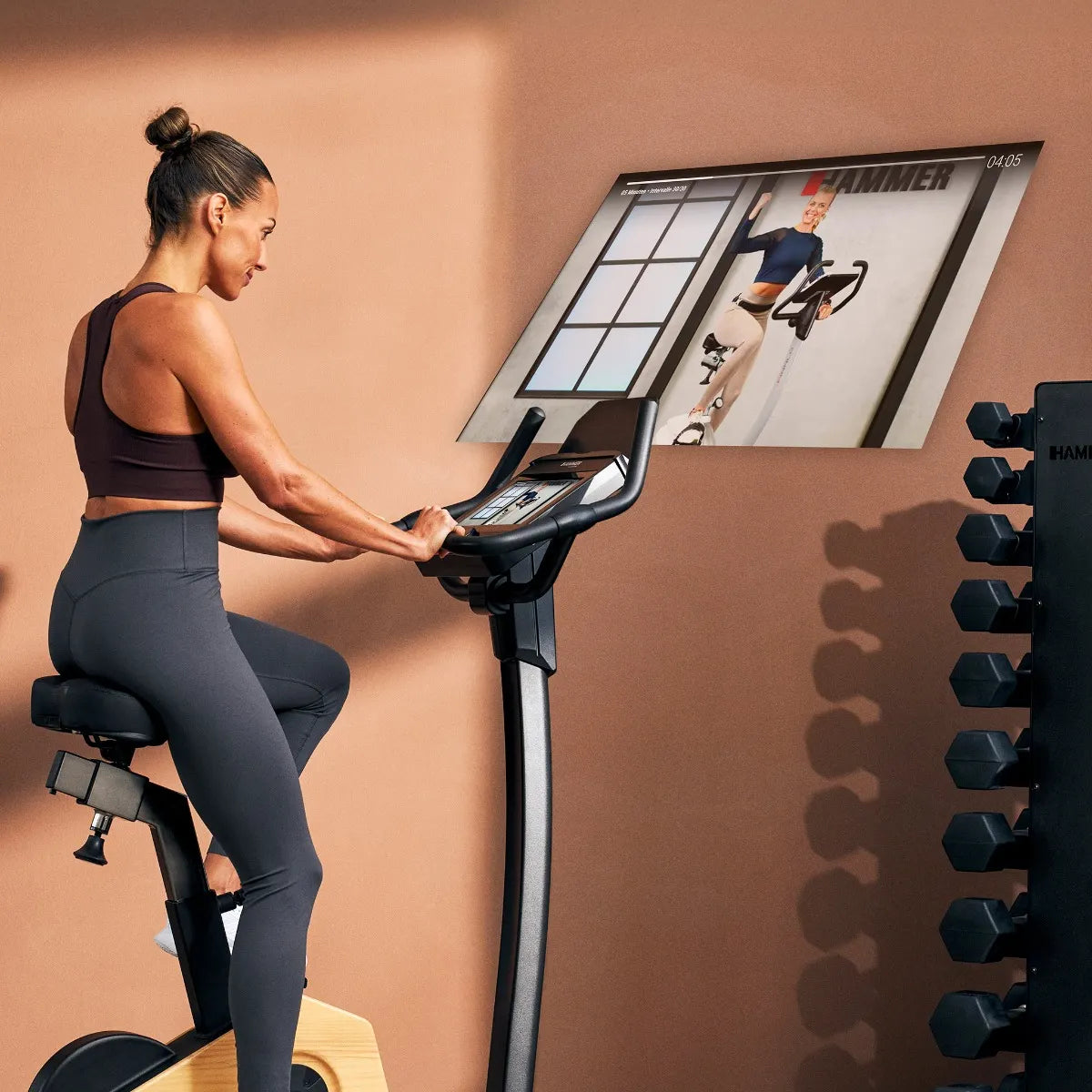 Exercise bike HAMMER Spheris 4.0 NorsK